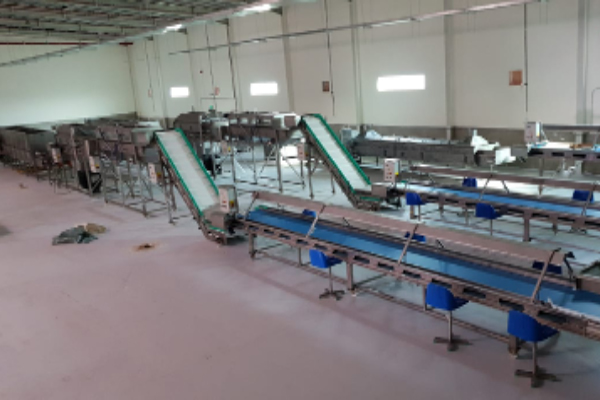 Dates paste processing line